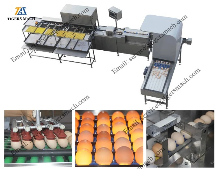 product-750-584 product-750-584