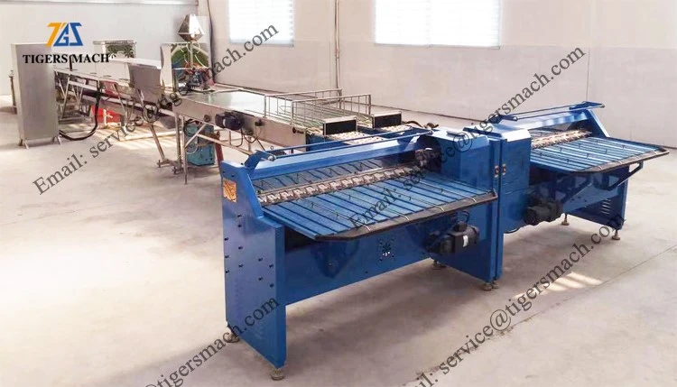 product-750-429 product-750-429