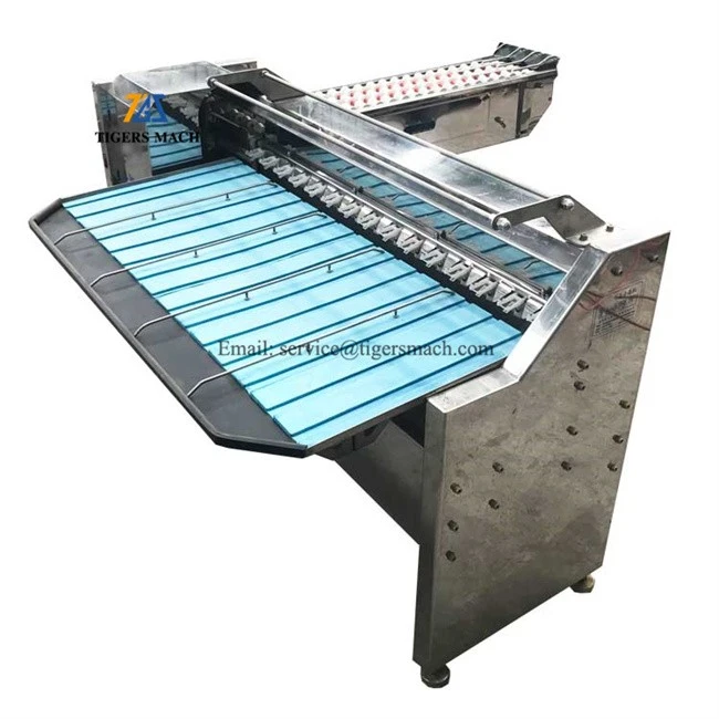Discount price egg classification machine from automatic egg grading processing equipment (3)