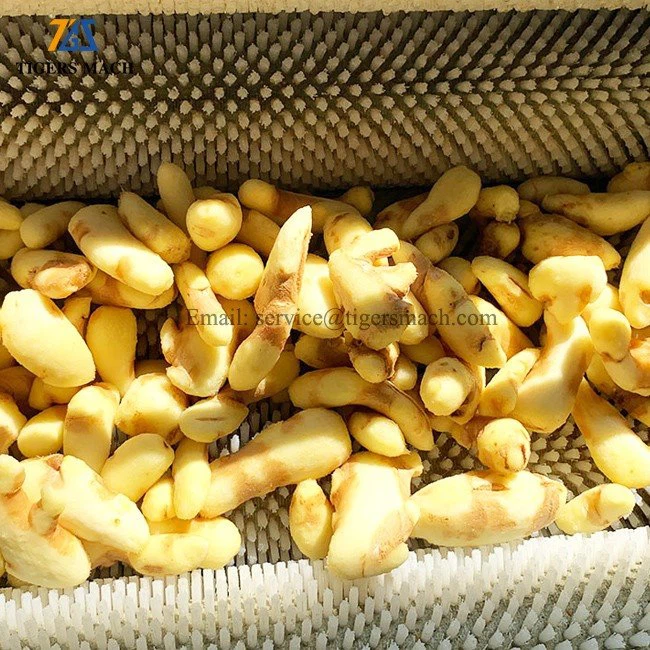Ginger Peeling Machinery