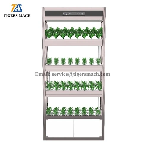 Hydroponic Zaub cog tshuab